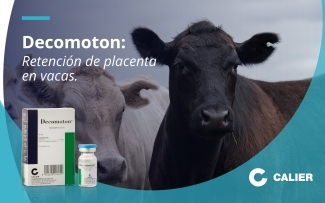 Descomoton - Retención de placenta en vacas