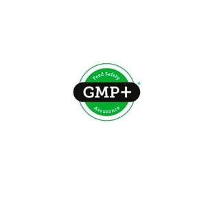 logo GMP