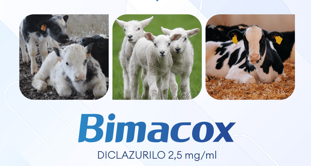 Bimacox Calier