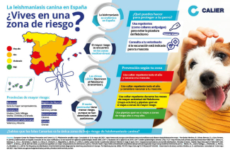 infografia_Leishmaniasis