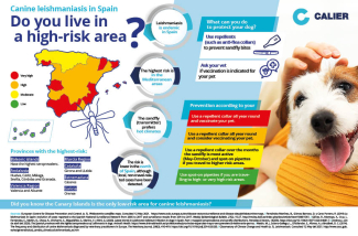 Canine leishmaniasis in Spain