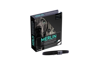 Imagen de Calier presenta el nuevo collar antiparasitario para perros Merlin