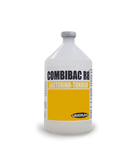 Imagen de Combivac R8