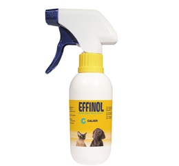 Imagen de Effinol Spray