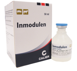 Imagen de Inmodulen