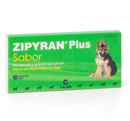 Imagen de Zipyran Plus Sabor