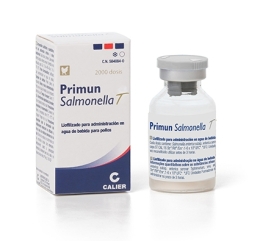 primun salmonella T