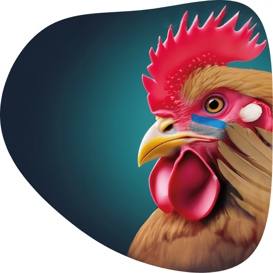 ilustración de gallina